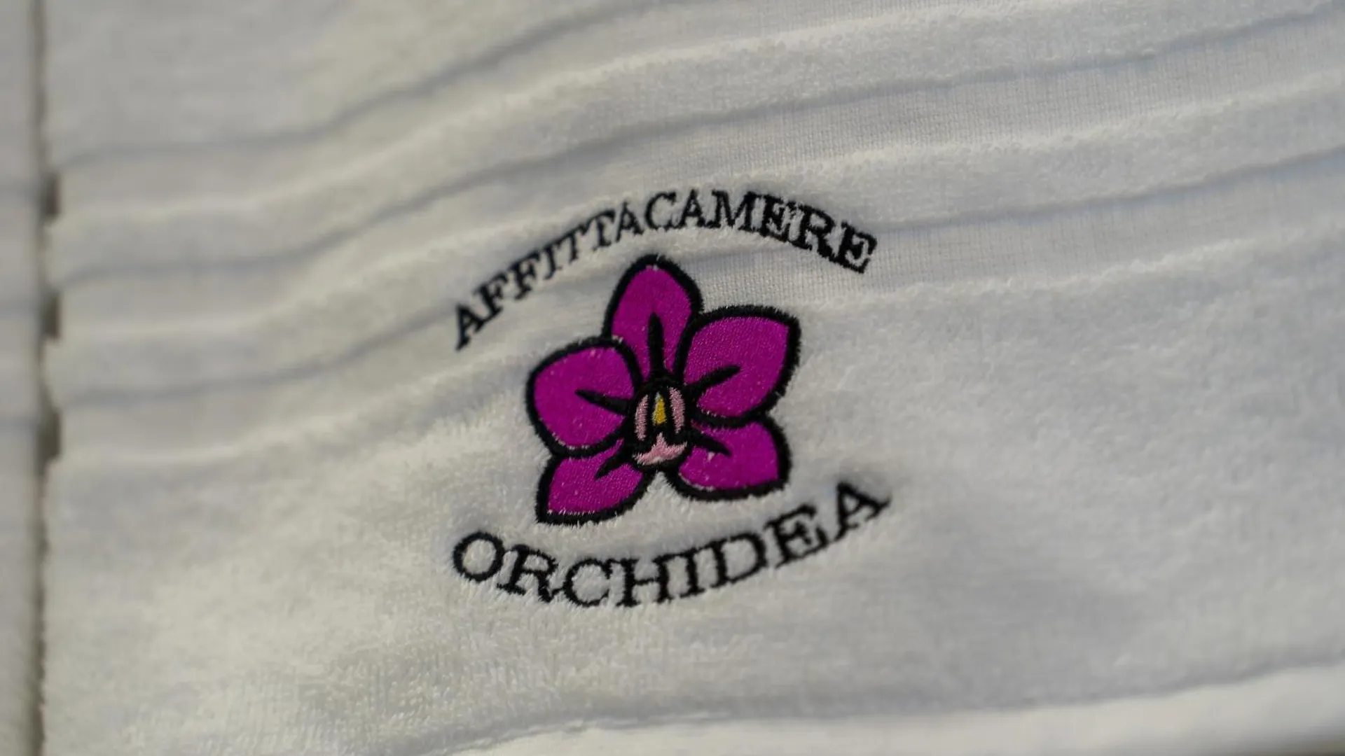 Affittacamere Orchidea For Tourists Hesperia Hosp Modena Italien